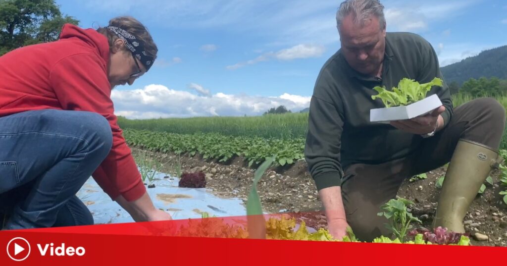 1. Juni ist &bdquo;Welttag der Bauern&ldquo;